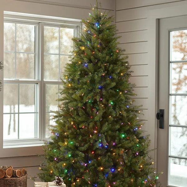 King Noble Fir - Image 2